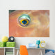 Fiji, Extreme Close-Up Of Female Parrotfish Eye At Night Wall Mural