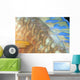 Fiji, Close-Up Detail Of Female Parrotfish, Fin And Scales At Night Wall Mural