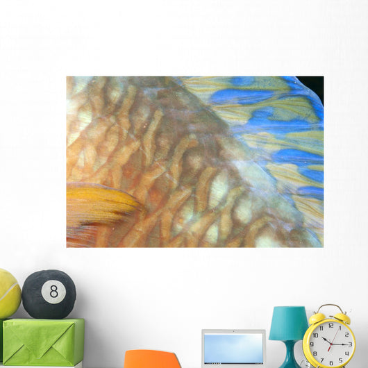 Fiji, Close-Up Detail Of Female Parrotfish, Fin And Scales At Night Wall Mural