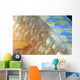 Fiji, Close-Up Detail Of Female Parrotfish, Fin And Scales At Night Wall Mural