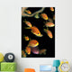 Fiji, Many Female Lyretail Anthias Wall Mural