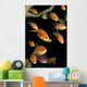 Fiji, Many Female Lyretail Anthias Wall Mural