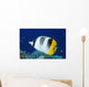 Fiji, Pacific Double-Saddle Butterfly Fish Close-Up Side View Wall Mural