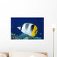 Fiji, Pacific Double-Saddle Butterfly Fish Close-Up Side View Wall Mural