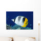 Fiji, Pacific Double-Saddle Butterfly Fish Close-Up Side View Wall Mural