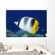 Fiji, Pacific Double-Saddle Butterfly Fish Close-Up Side View Wall Mural