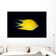 Fiji, Side View Of Golden Damselfish Wall Mural