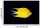 Fiji, Side View Of Golden Damselfish Wall Mural