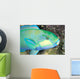 Indonesia, Bleeker's Parrot Fish Close-Up Side View, Colorful Wall Mural
