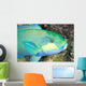 Indonesia, Bleeker's Parrot Fish Close-Up Side View, Colorful Wall Mural