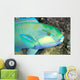 Indonesia, Bleeker's Parrot Fish Close-Up Side View, Colorful Wall Mural