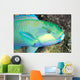 Indonesia, Bleeker's Parrot Fish Close-Up Side View, Colorful Wall Mural