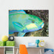 Indonesia, Bleeker's Parrot Fish Close-Up Side View, Colorful Wall Mural