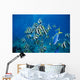 Fiji, Schooling Longfin Bannerfish Diver Background Wall Mural