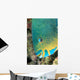 Fiji, Close-Up Side View Of Male Minifin Parrotfish At Night Wall Mural