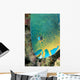 Fiji, Close-Up Side View Of Male Minifin Parrotfish At Night Wall Mural