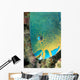 Fiji, Close-Up Side View Of Male Minifin Parrotfish At Night Wall Mural