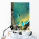 Fiji, Close-Up Side View Of Male Minifin Parrotfish At Night Wall Mural