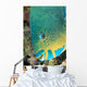 Fiji, Close-Up Side View Of Male Minifin Parrotfish At Night Wall Mural