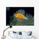 Fiji, Pink Anemonefish Side View, Next To Anemone Wall Mural