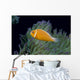 Fiji, Pink Anemonefish Side View, Next To Anemone Wall Mural