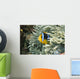 Fiji, Close-Up Of Orange-Fin Anemonefish In Anemone Wall Mural