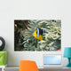 Fiji, Close-Up Of Orange-Fin Anemonefish In Anemone Wall Mural