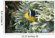 Fiji, Close-Up Of Orange-Fin Anemonefish In Anemone Wall Mural