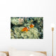 Fiji, Dusky Clownfish, Pair Swim Over Anemone Wall Mural