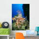 Fiji, Lionfish And Alcyonarian Coral Wall Mural