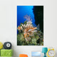 Fiji, Lionfish And Alcyonarian Coral Wall Mural