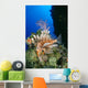 Fiji, Lionfish And Alcyonarian Coral Wall Mural