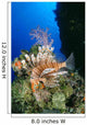 Fiji, Lionfish And Alcyonarian Coral Wall Mural