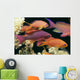 Fiji, Close-Up Side View, One Male And Several Female Lyretail Anthias Wall Mural