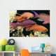 Fiji, Close-Up Side View, One Male And Several Female Lyretail Anthias Wall Mural