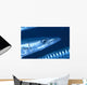 Solomon Islands, Extreme Close-Up Of Barracuda, Side View Of Head Wall Mural