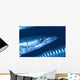 Solomon Islands, Extreme Close-Up Of Barracuda, Side View Of Head Wall Mural