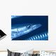 Solomon Islands, Extreme Close-Up Of Barracuda, Side View Of Head Wall Mural
