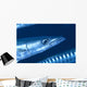 Solomon Islands, Extreme Close-Up Of Barracuda, Side View Of Head Wall Mural