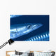 Solomon Islands, Extreme Close-Up Of Barracuda, Side View Of Head Wall Mural
