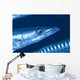 Solomon Islands, Extreme Close-Up Of Barracuda, Side View Of Head Wall Mural
