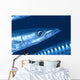 Solomon Islands, Extreme Close-Up Of Barracuda, Side View Of Head Wall Mural