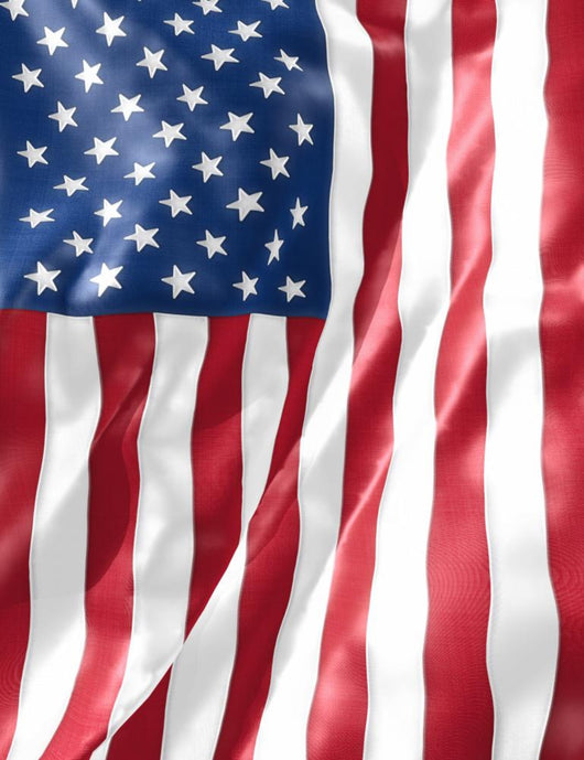u.s. flag Wall Mural