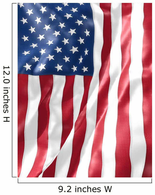 Us Flag Wall Mural