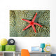 Solomon Islands, Seastar On Coral Wall Mural
