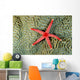 Solomon Islands, Seastar On Coral Wall Mural