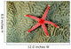 Solomon Islands, Seastar On Coral Wall Mural