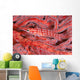Malaysia, Borneo, Sipadan Island, Bigeye Trevally School, Sunburst Wall Mural