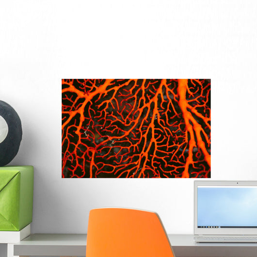 Papua New Guinea, Orange Sea Fan Close-Up Detail Wall Mural