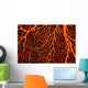 Papua New Guinea, Orange Sea Fan Close-Up Detail Wall Mural